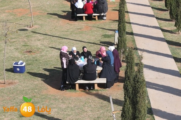 byareg 0226 (117).JPG